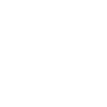 The Town